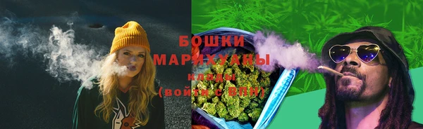 метадон Елизово