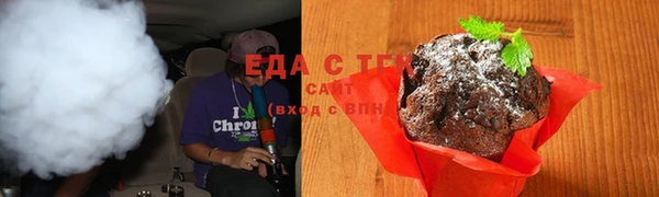 амф Ельня