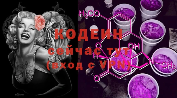 амф Ельня