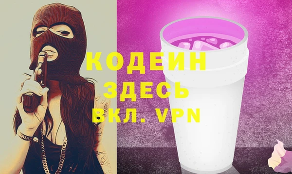 амф Ельня