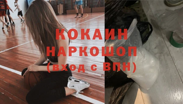 амф Ельня
