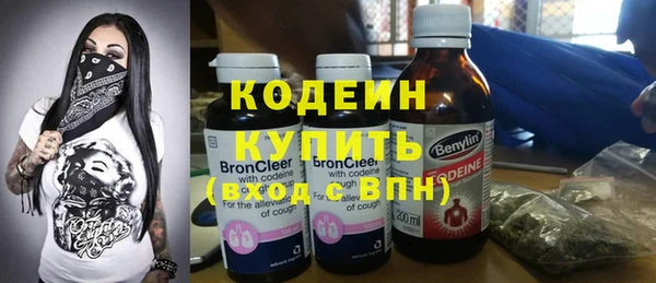 амф Ельня