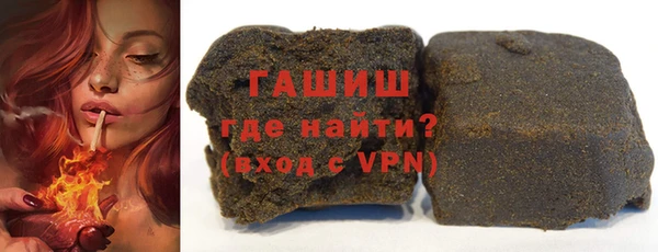 амф Ельня