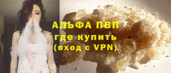 амф Ельня