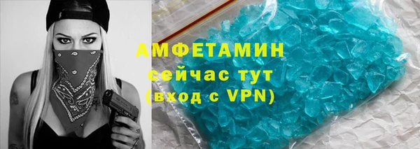 амф Ельня