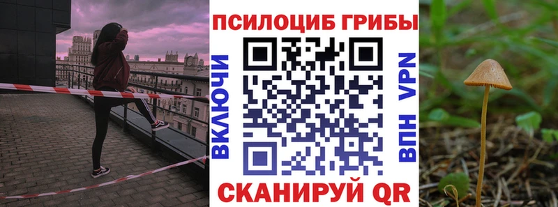 Галлюциногенные грибы мицелий  наркотики  Заволжье 