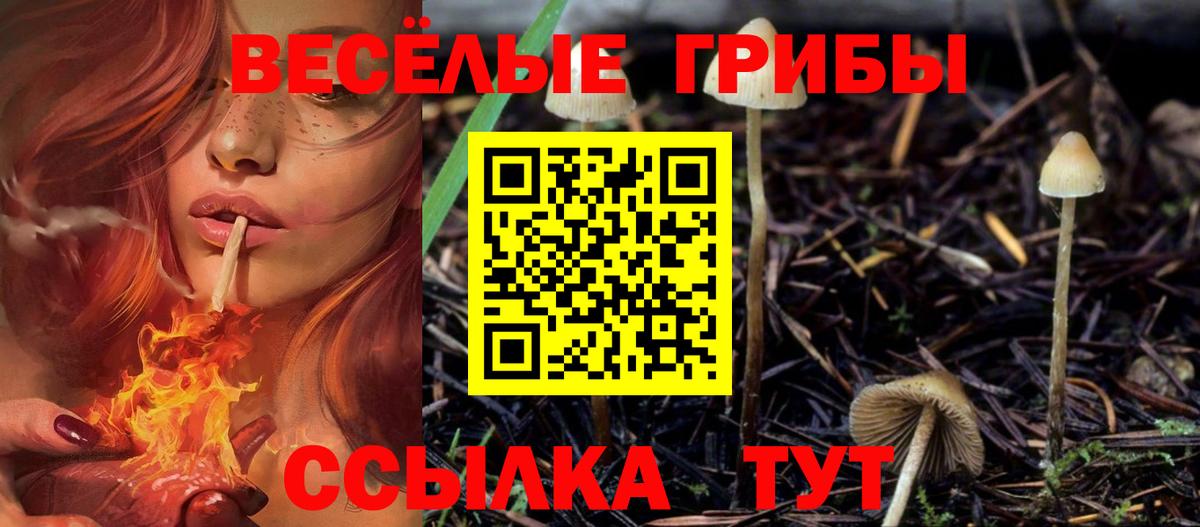 Псилоцибиновые грибы MAGIC MUSHROOMS  Вход с VPN  Заволжье 